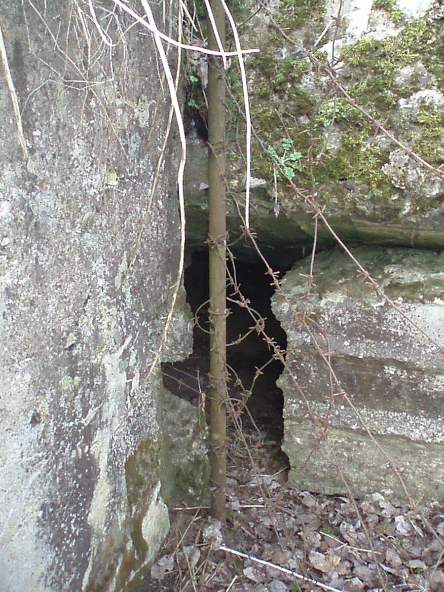 aprils 018.jpg
