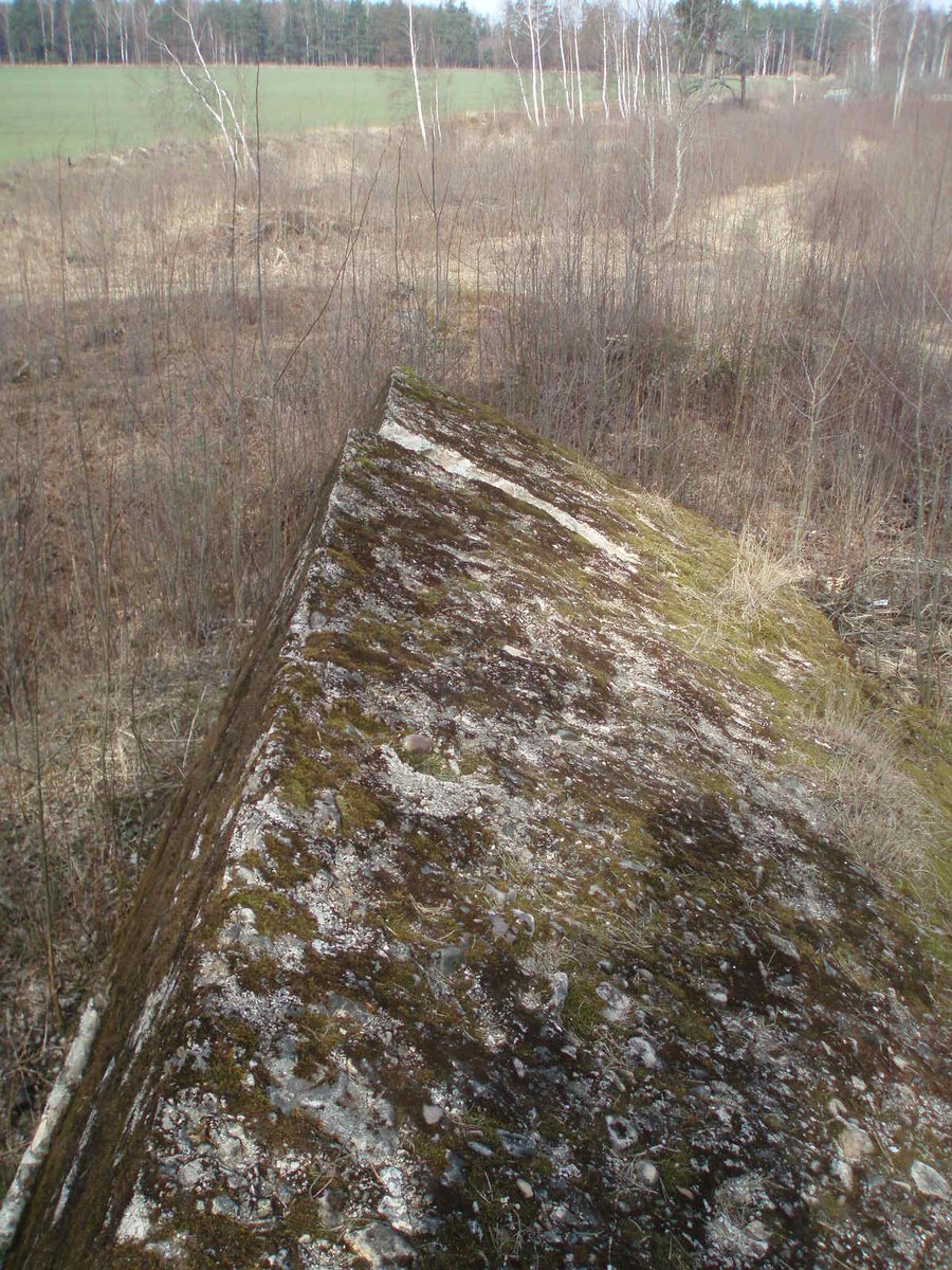 aprils 023.jpg
