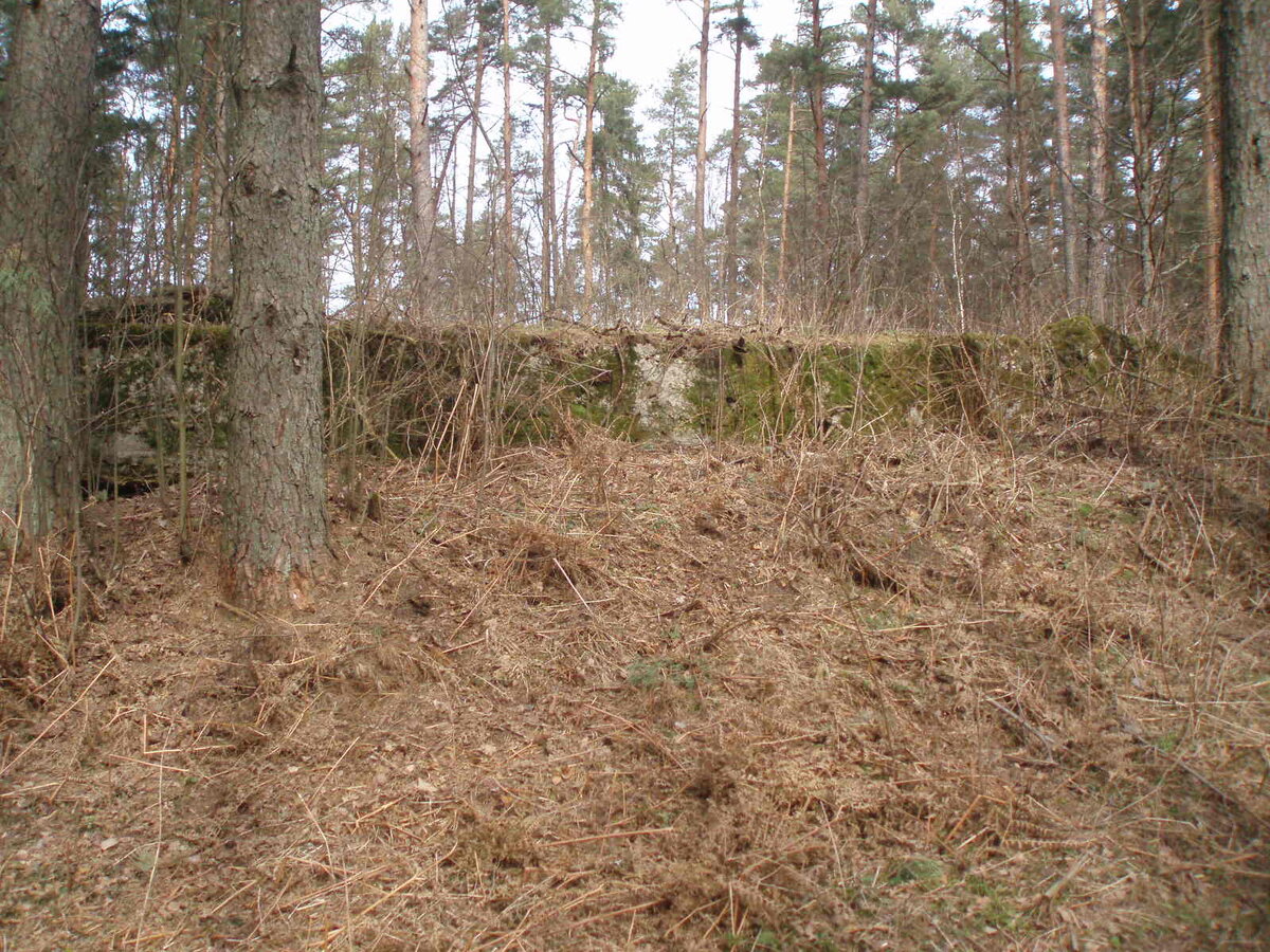 aprils 029.jpg