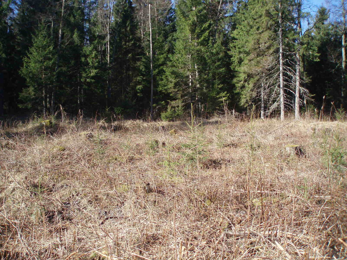 aprils 047.jpg