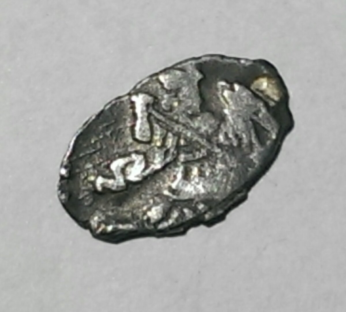 IMAG0265_1.jpg