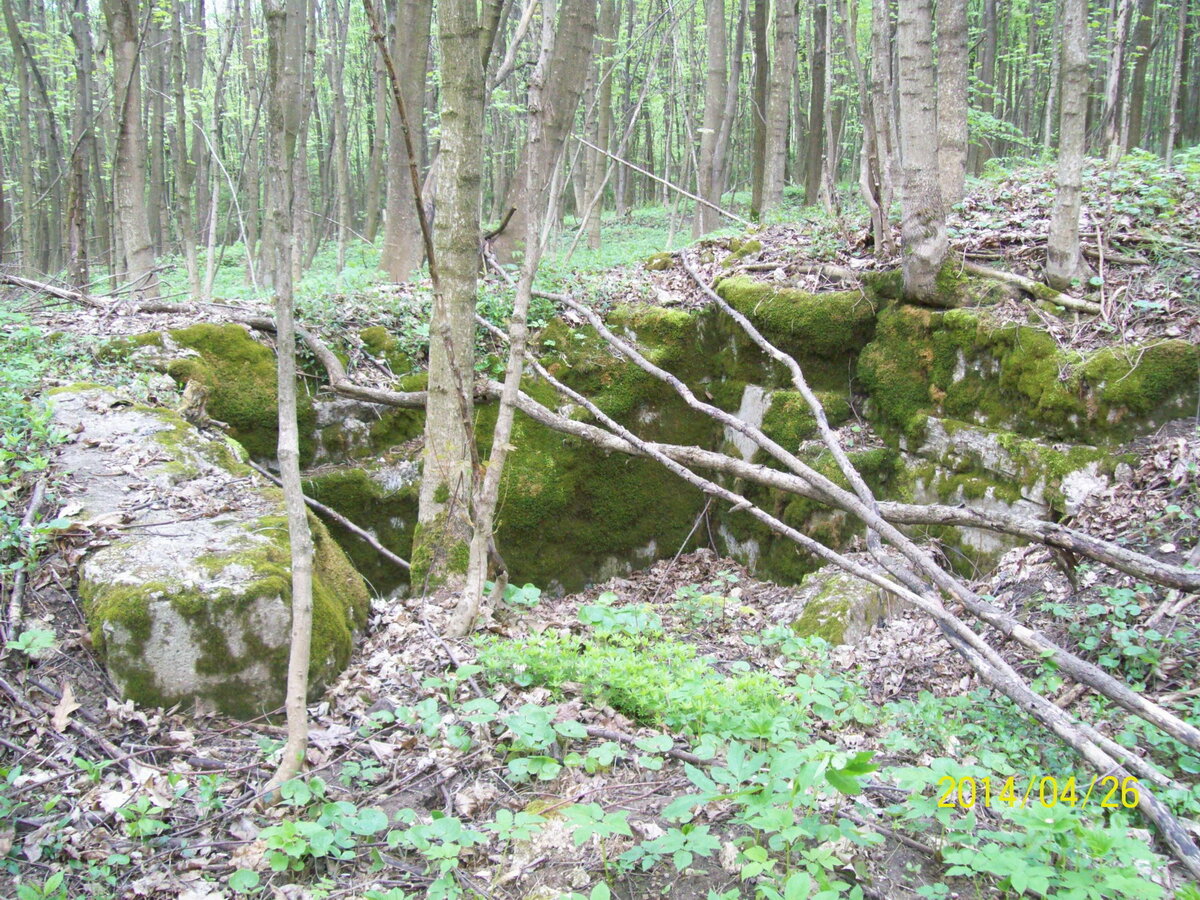 306.jpg