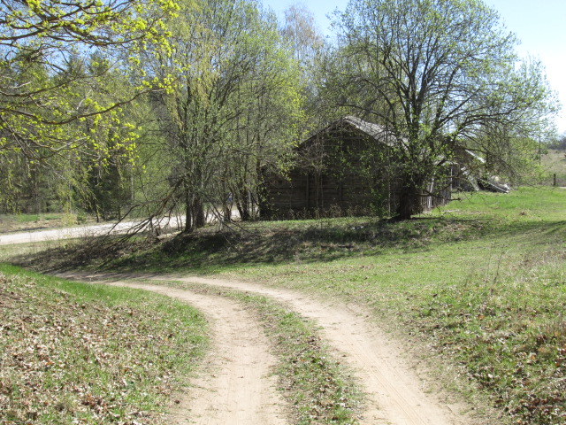 IMG_0342.JPG