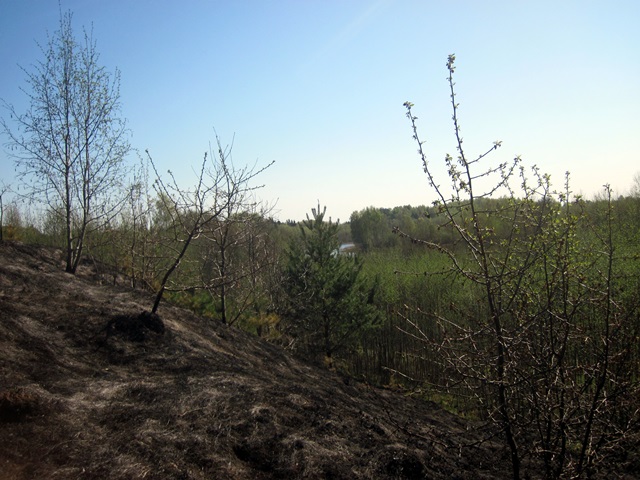 IMG_4278.JPG
