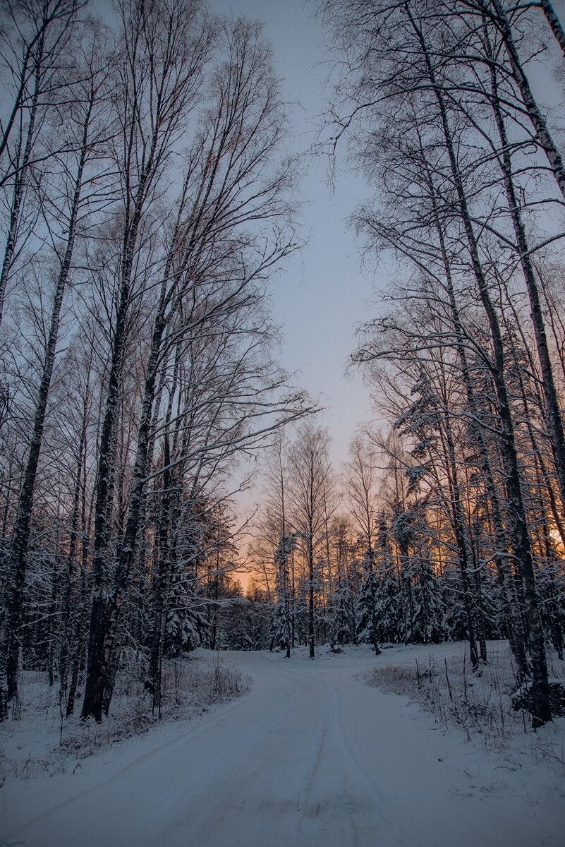 _HAV9666 (Копировать) (Копировать).jpg