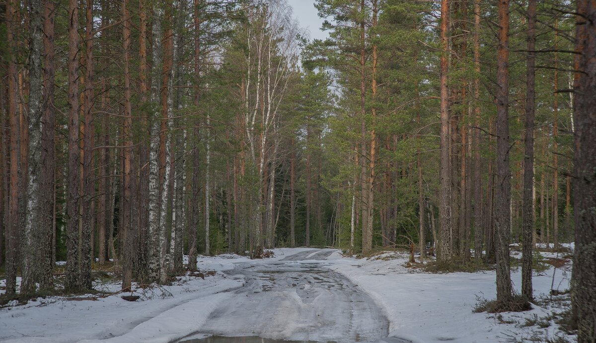 _HAV7451 (Копировать).jpg
