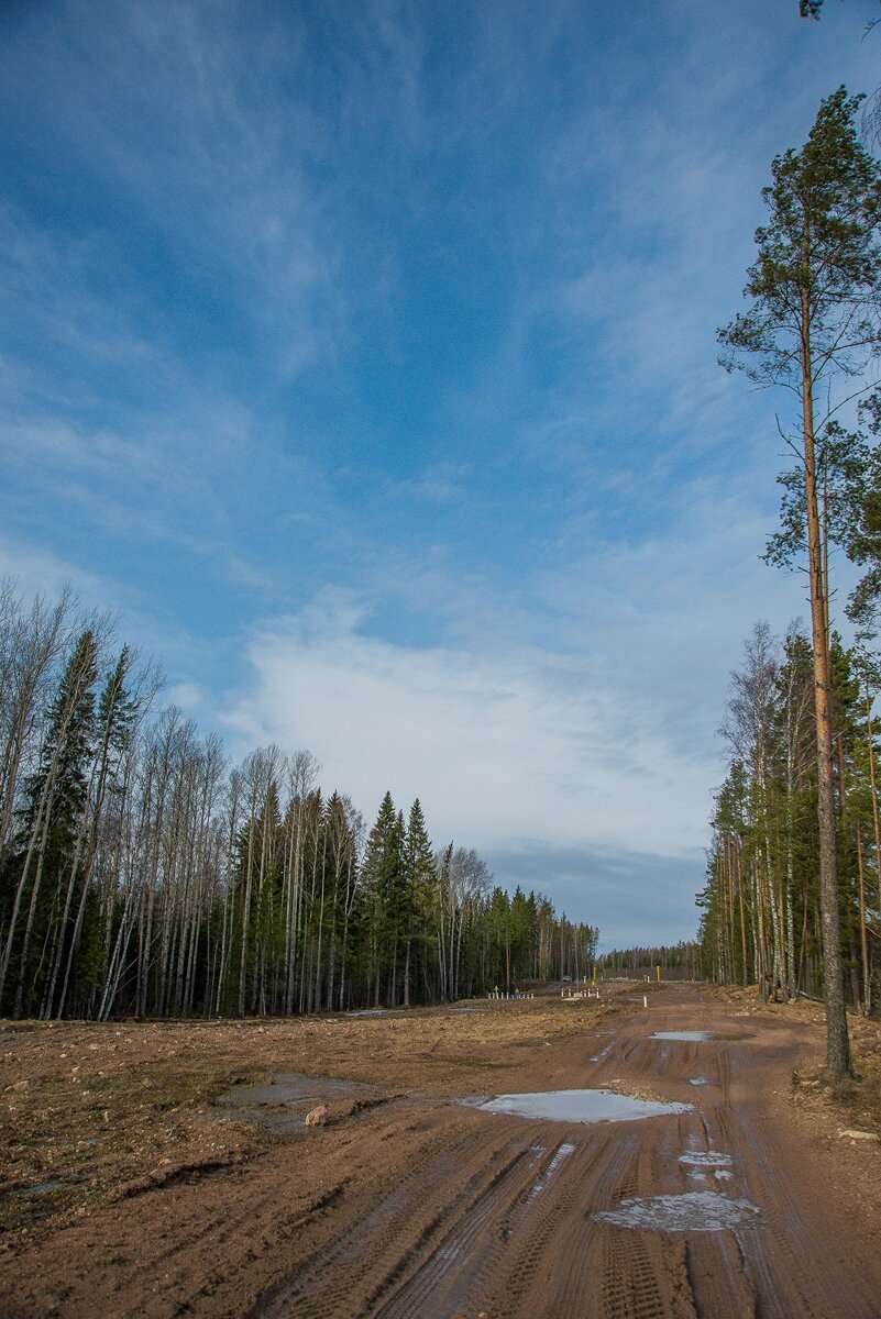 _HAV8724 (Копировать).jpg