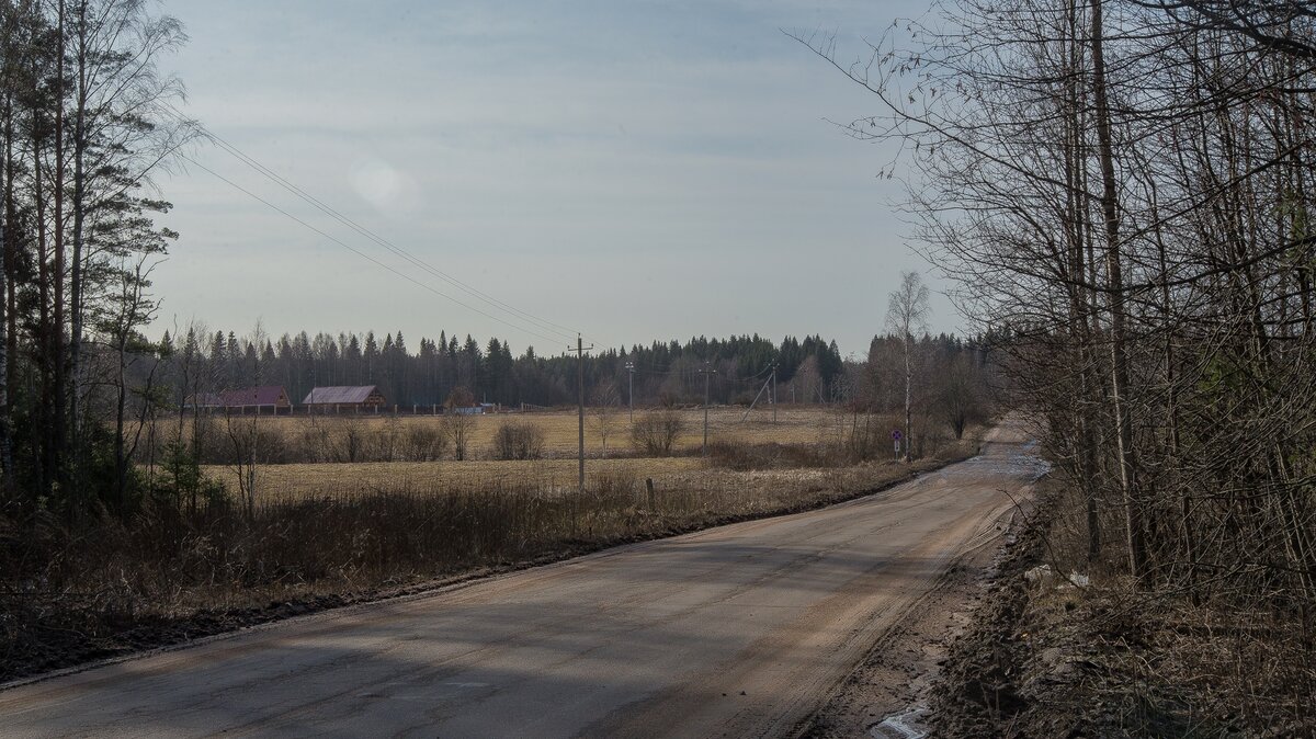 _HAV8796 (Копировать).jpg