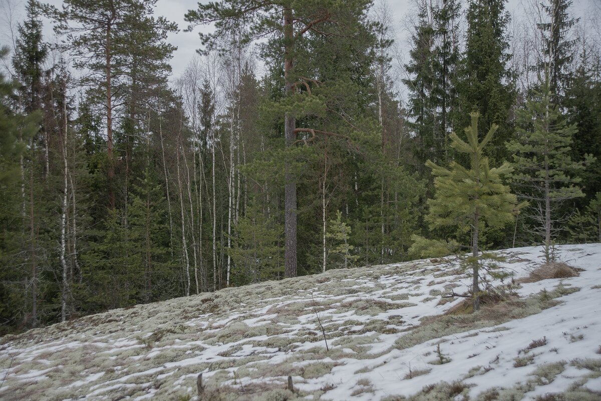 _HAV9987 (Копировать).jpg