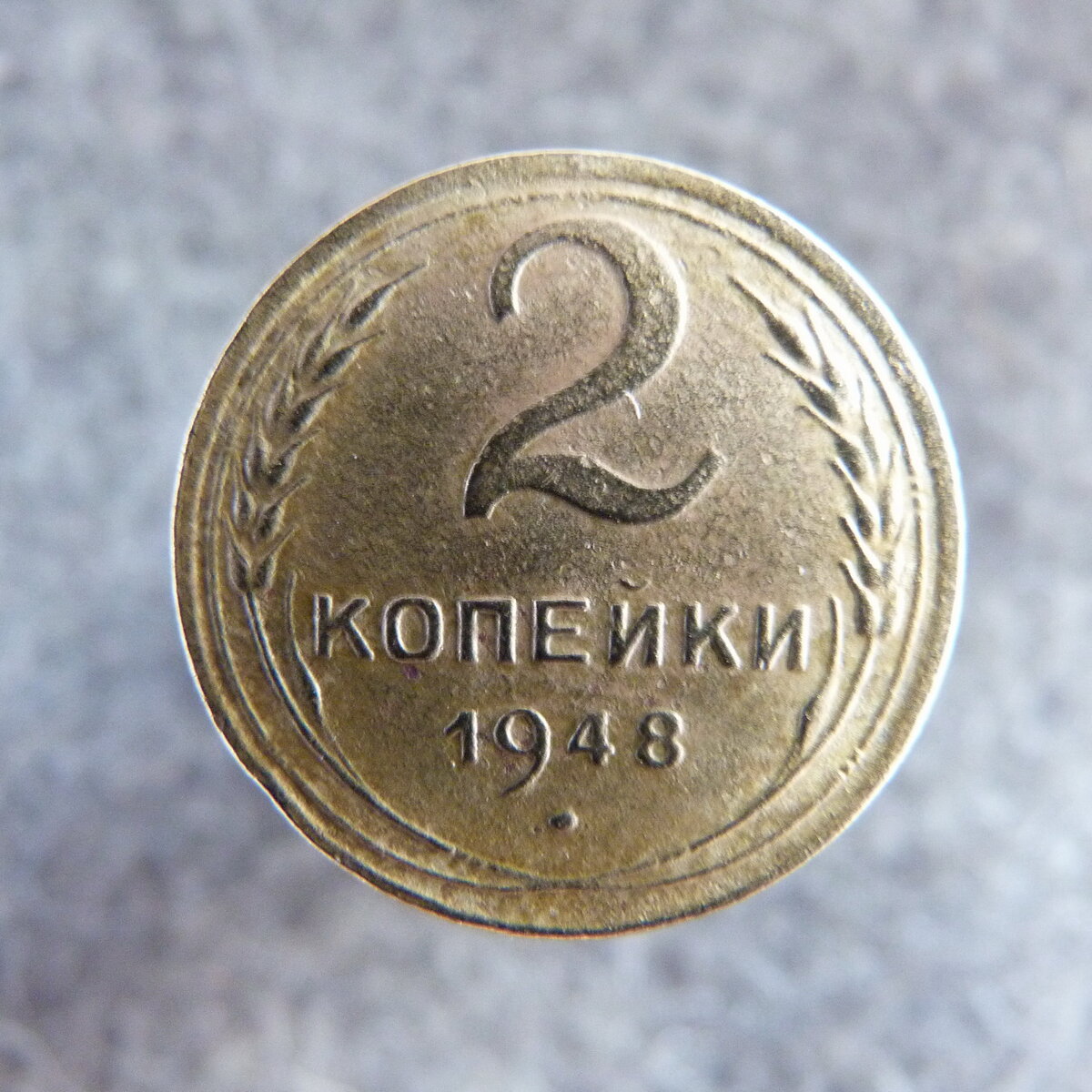 P1020195.JPG