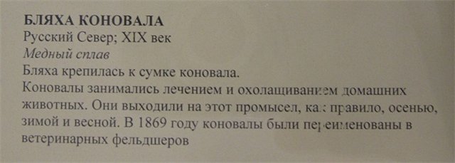 555.1.jpg