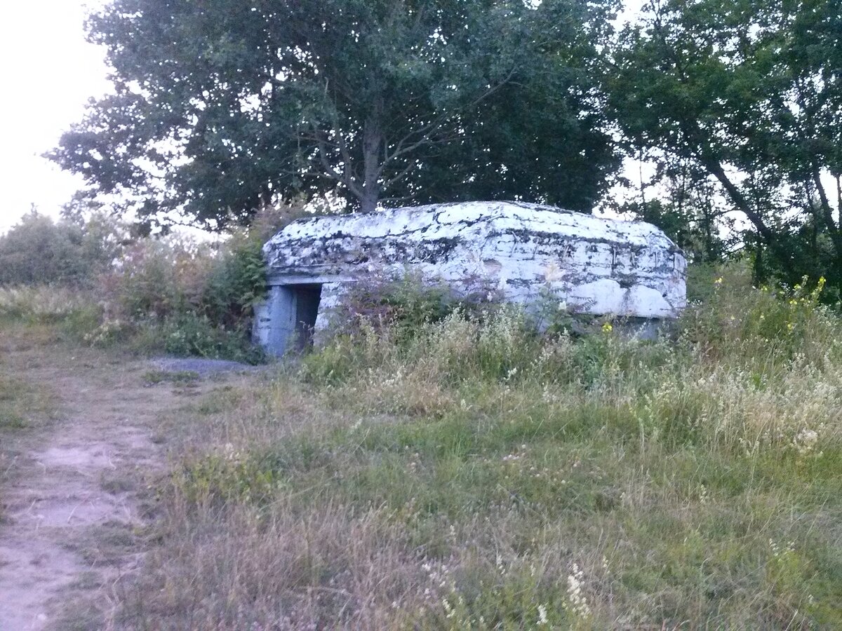 CAM00672.jpg