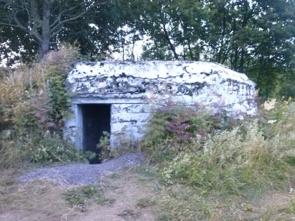 CAM00673.jpg