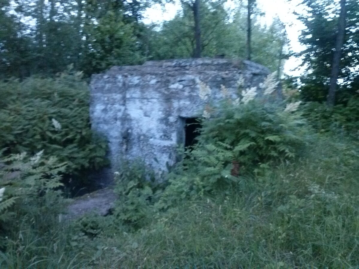 CAM00674.jpg
