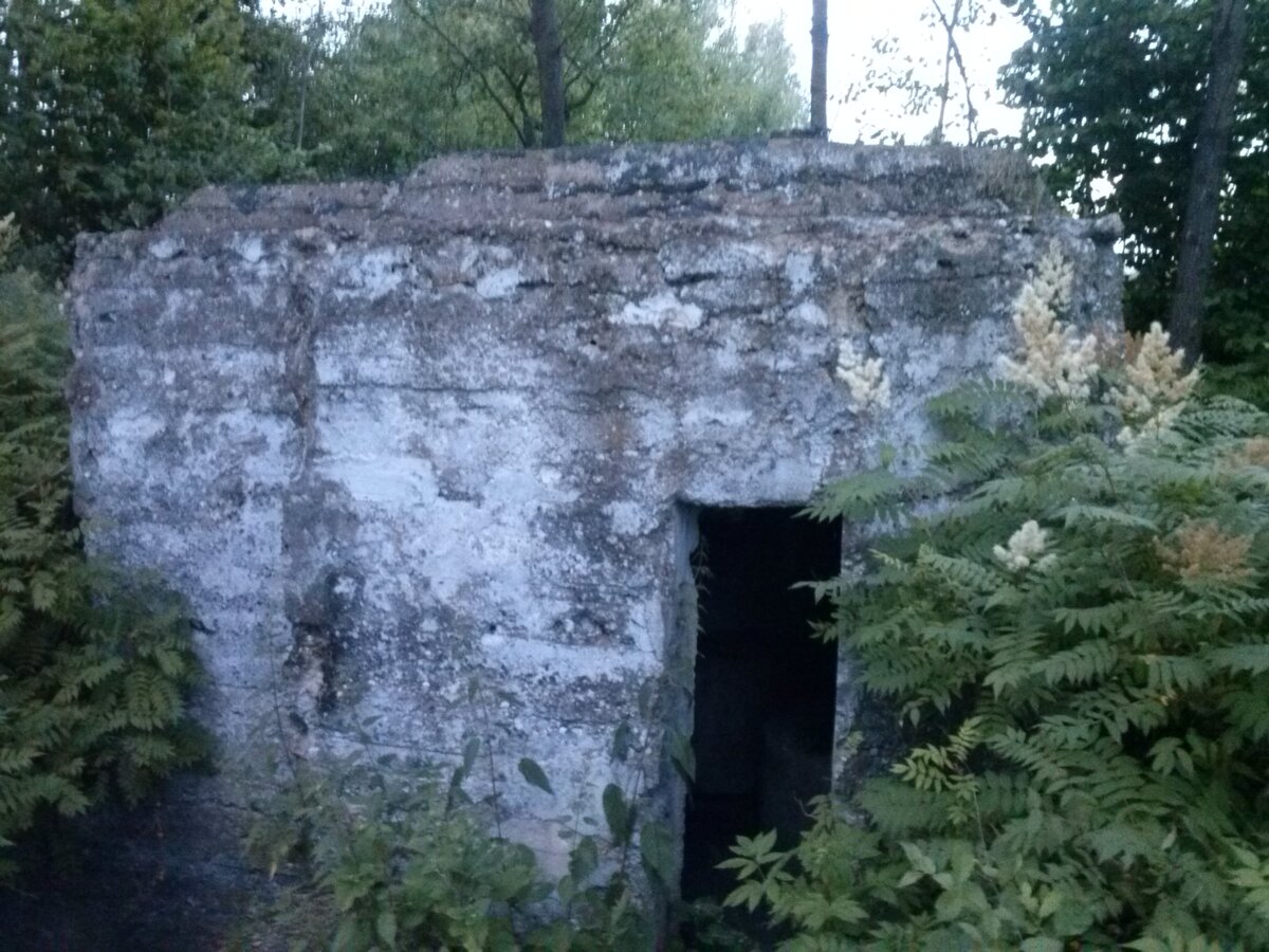CAM00675.jpg