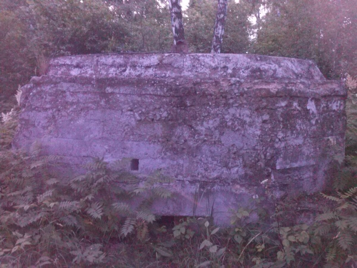 CAM00676.jpg