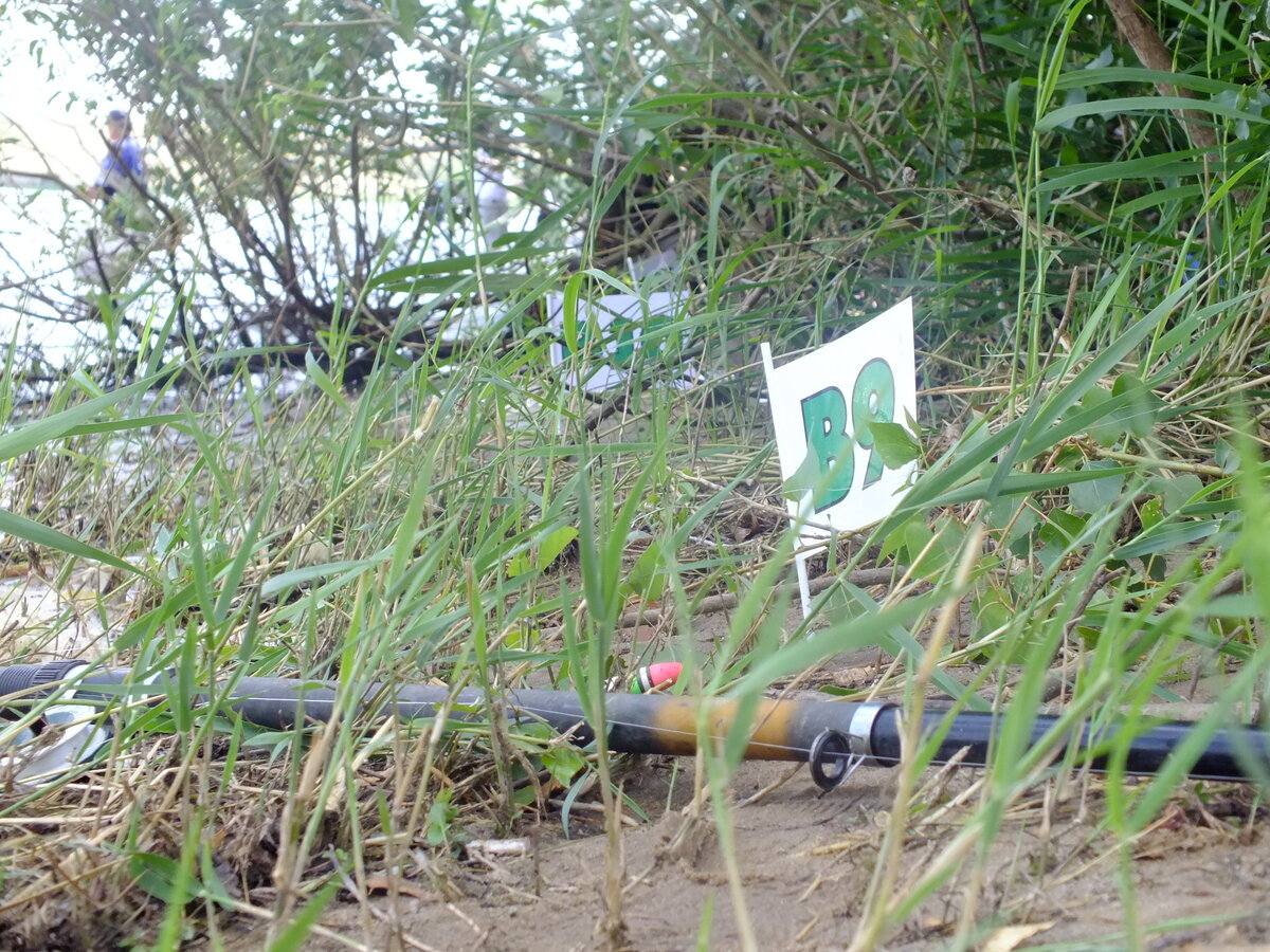 DSCF7293.JPG