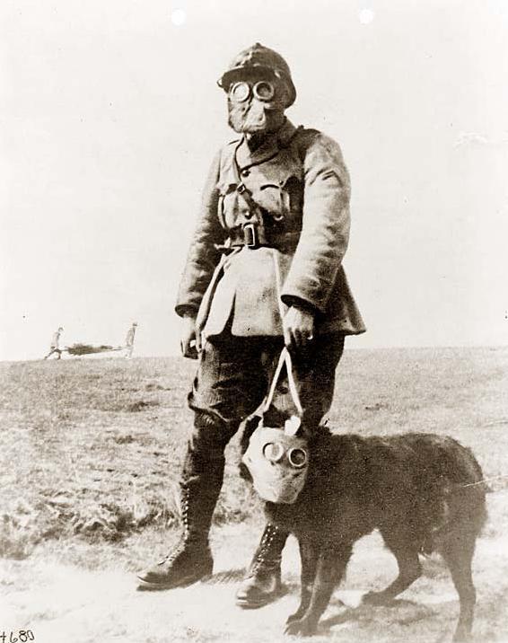 dog.jpg