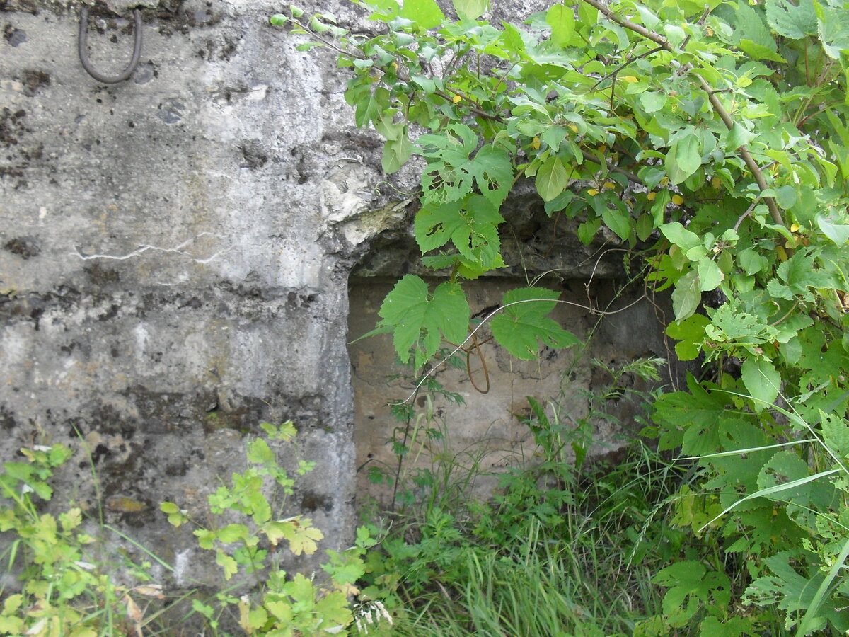 SDC12562.JPG