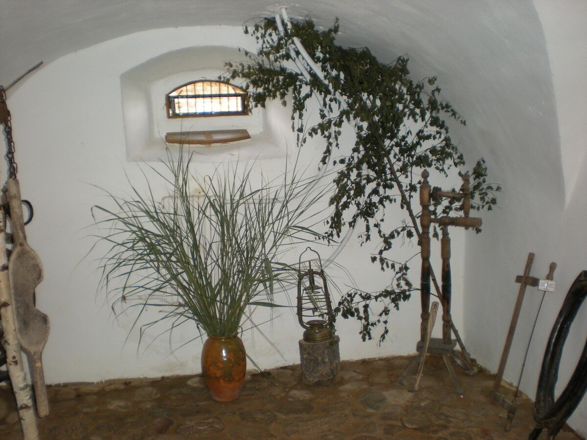 DSCN3268.jpg