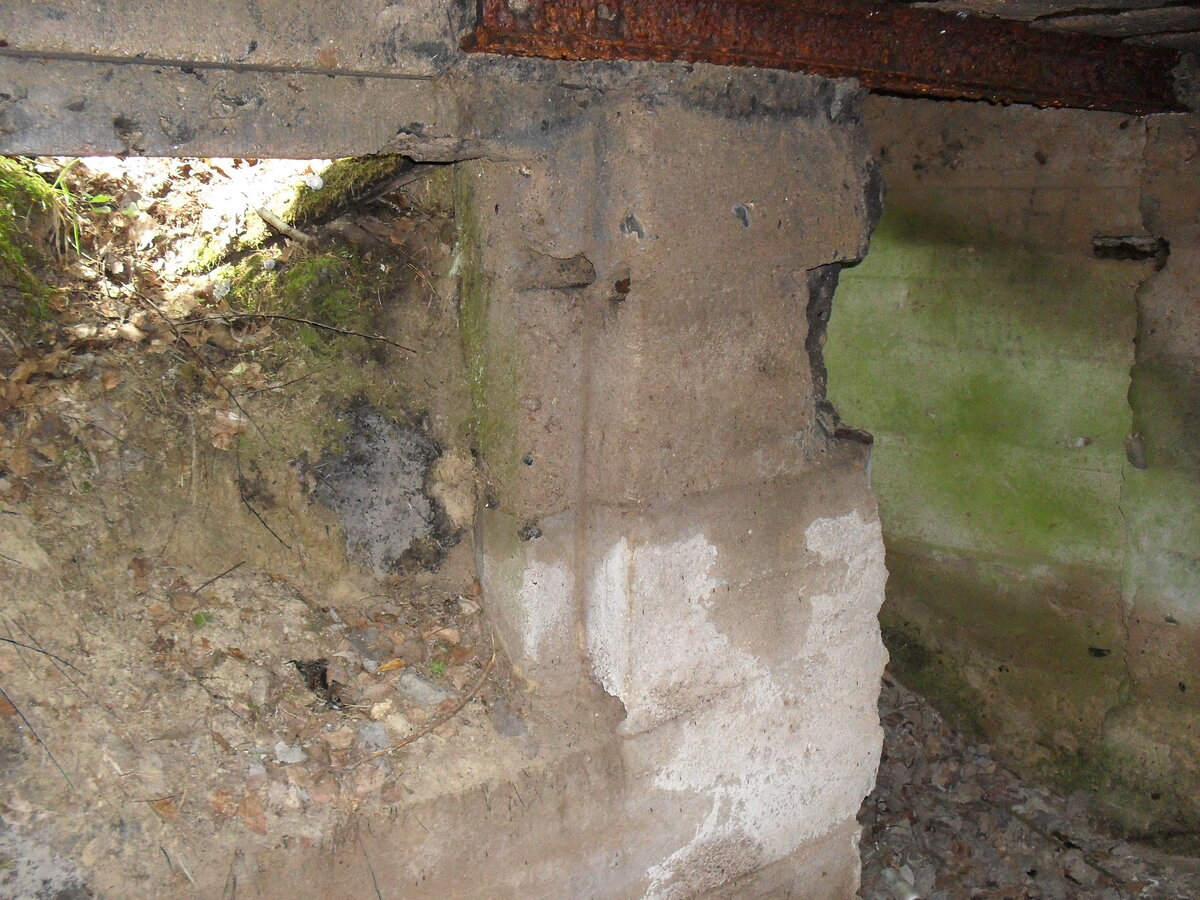 SDC12571.JPG