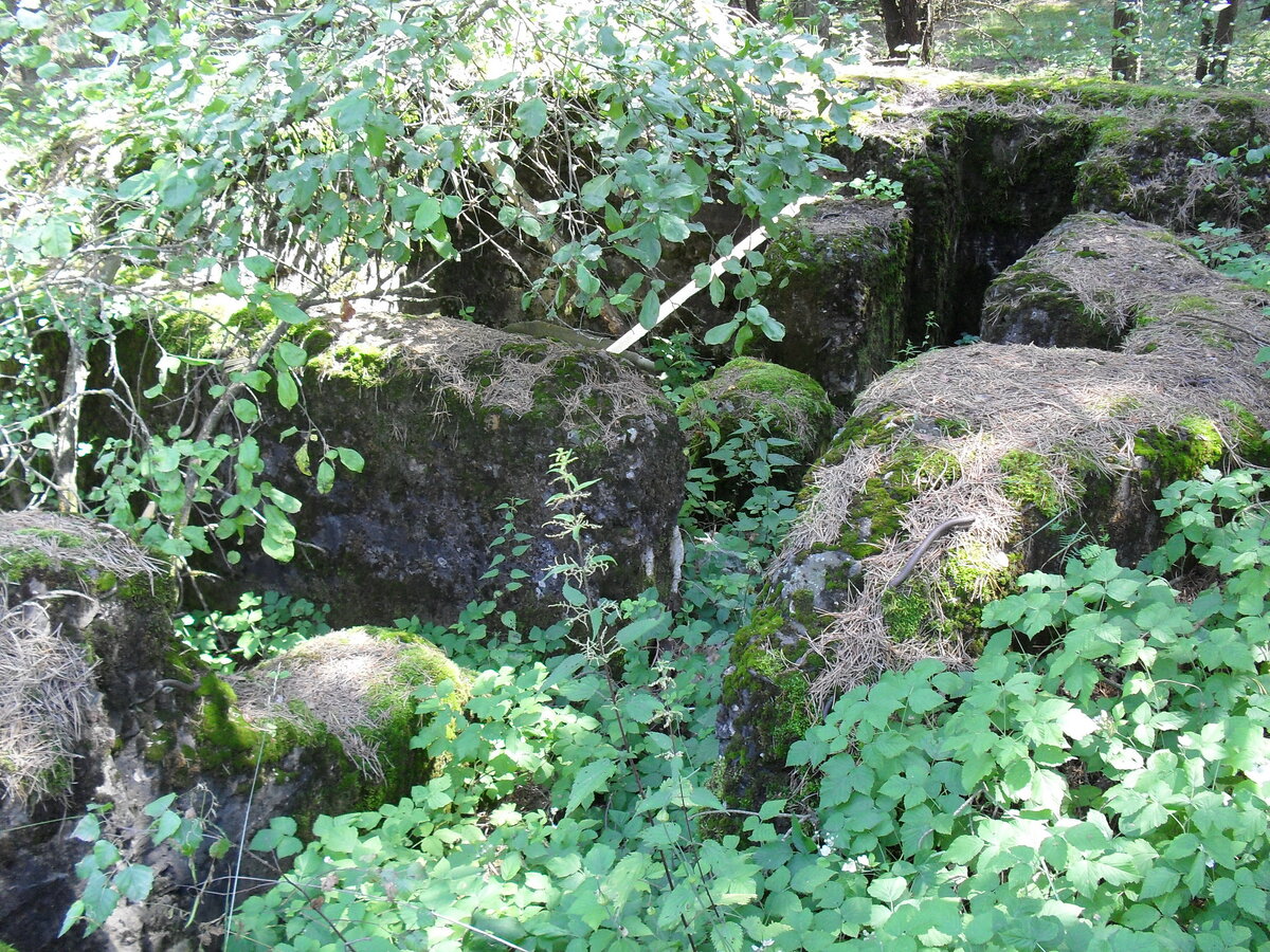 SDC12582.JPG