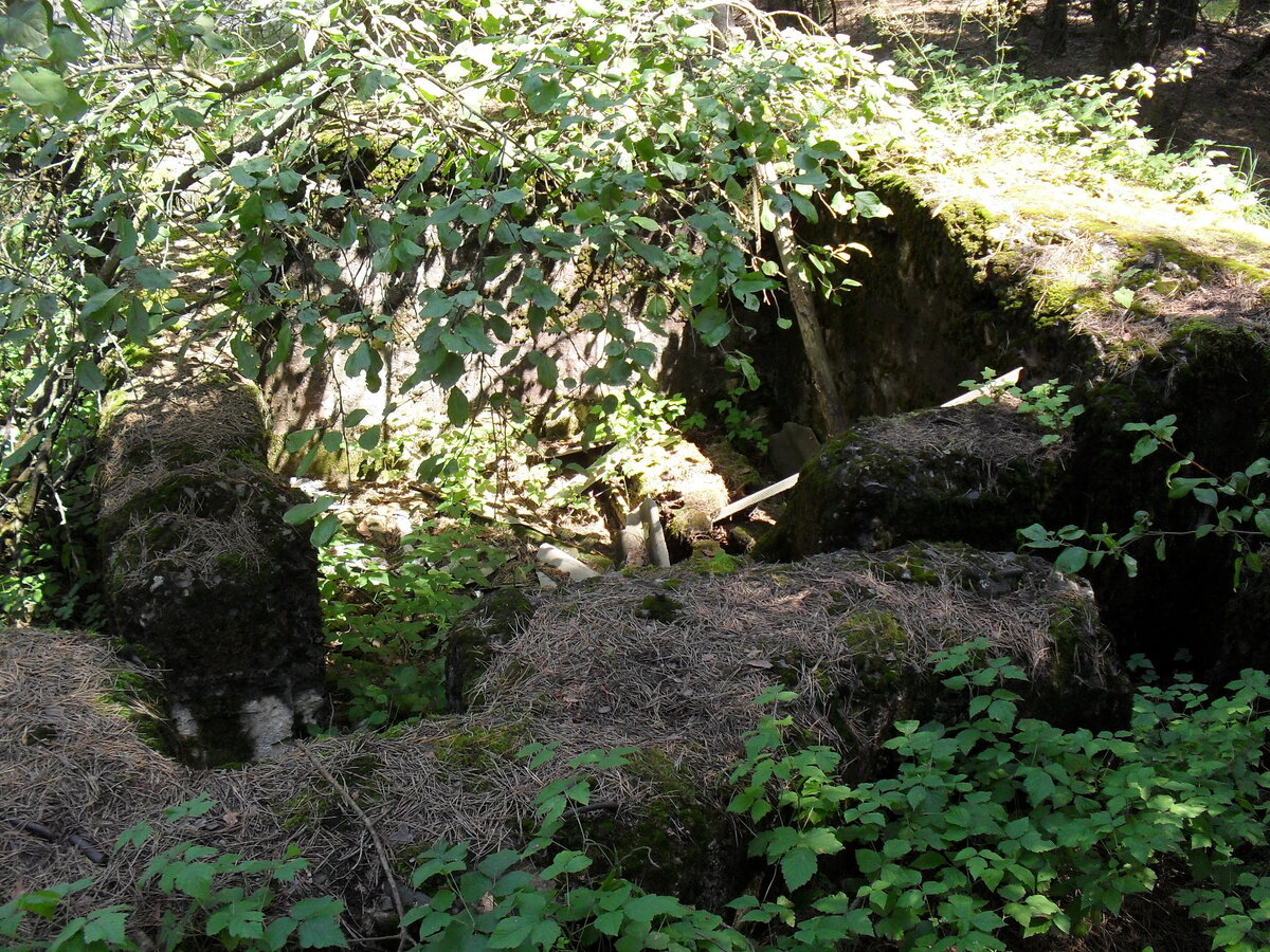 SDC12583.JPG