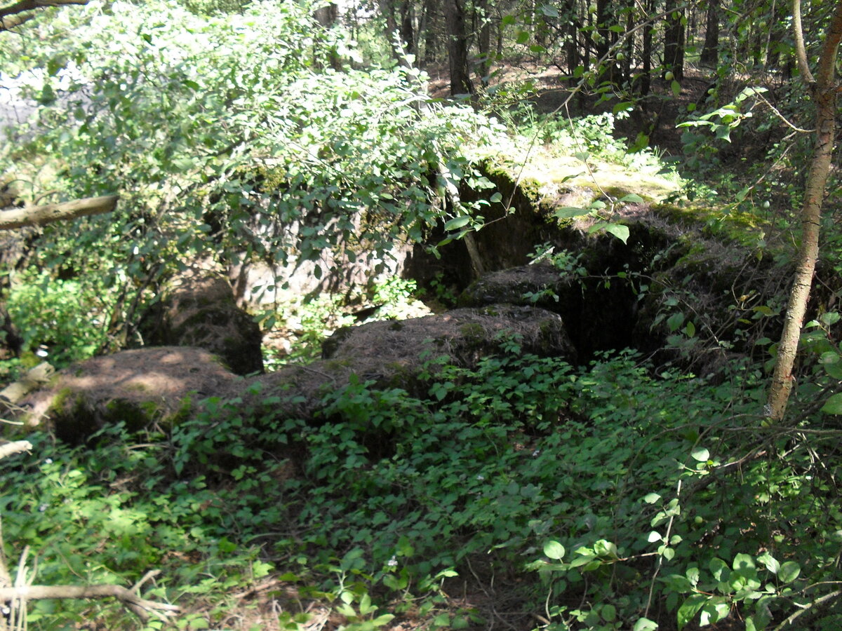 SDC12586.JPG