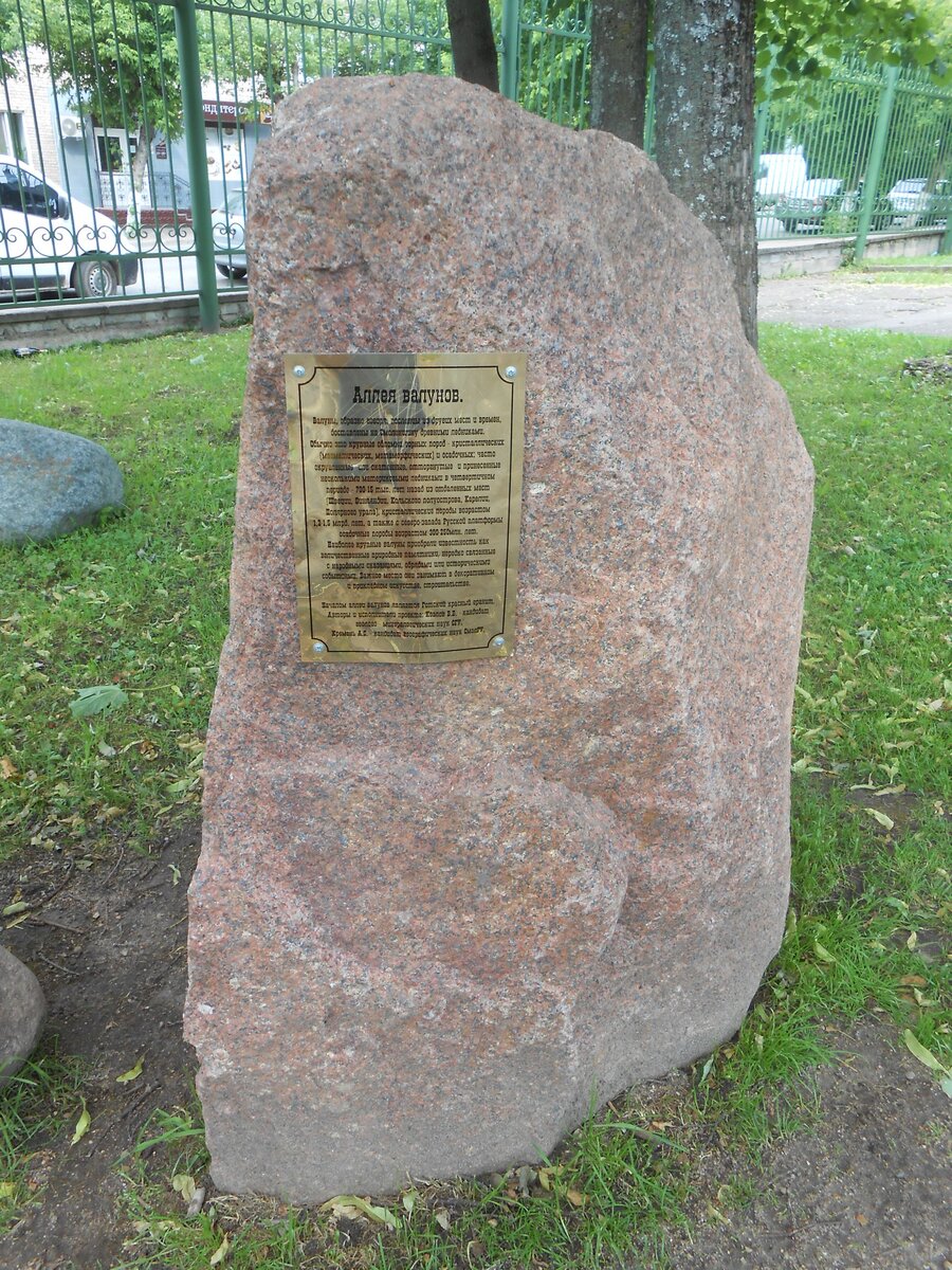 DSCN3141.JPG