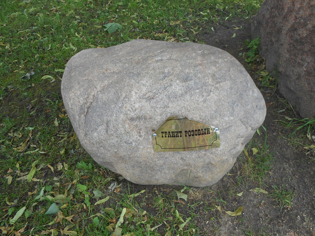 DSCN3142.JPG