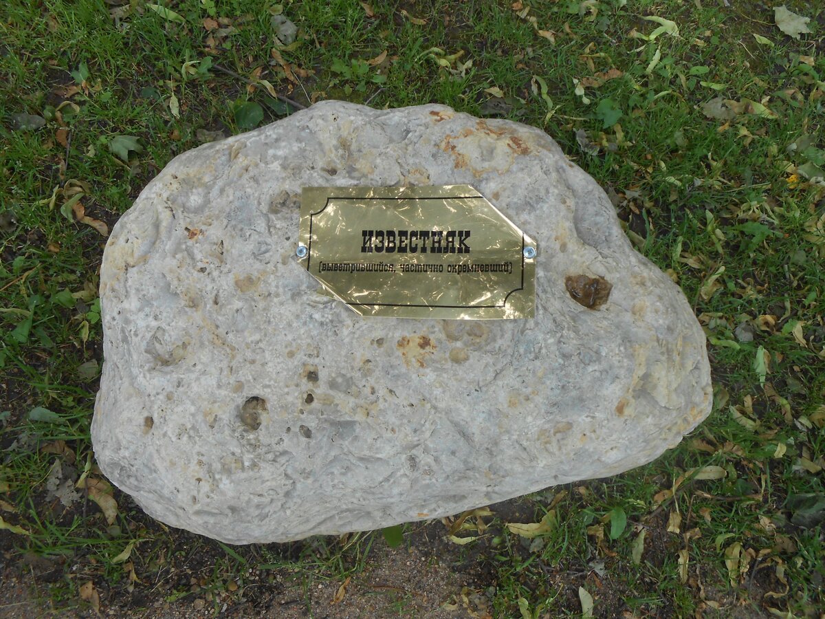 DSCN3143.JPG