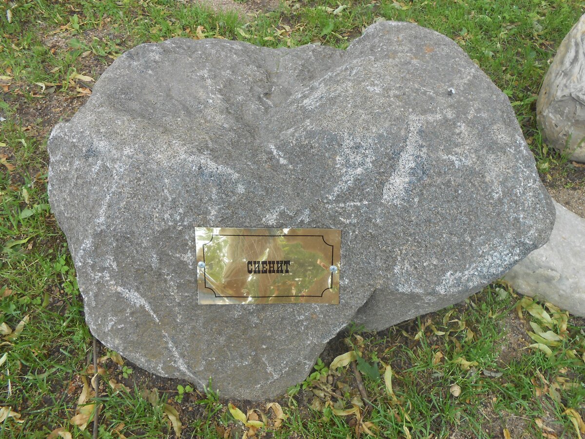 DSCN3144.JPG