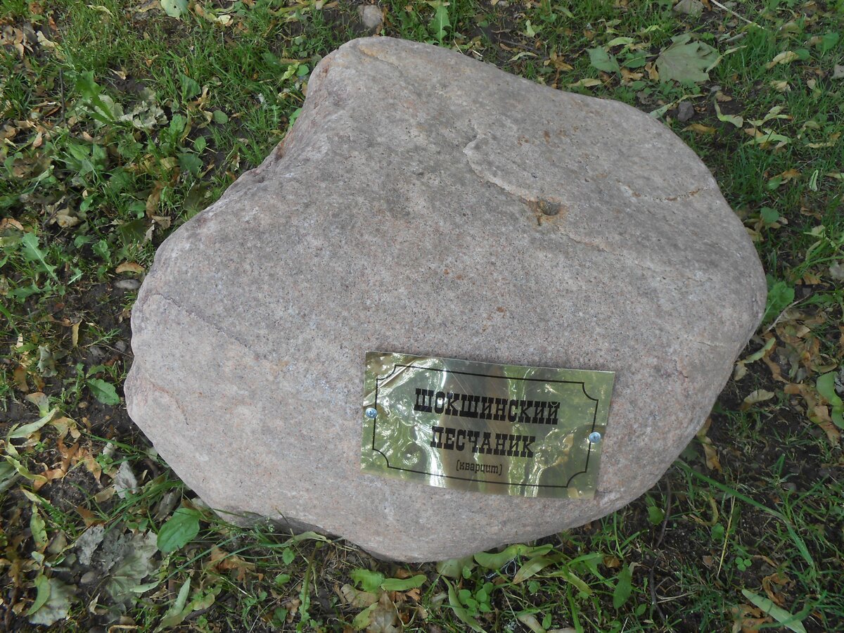 DSCN3145.JPG