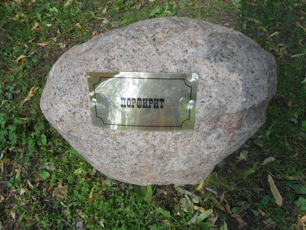 DSCN3146.JPG