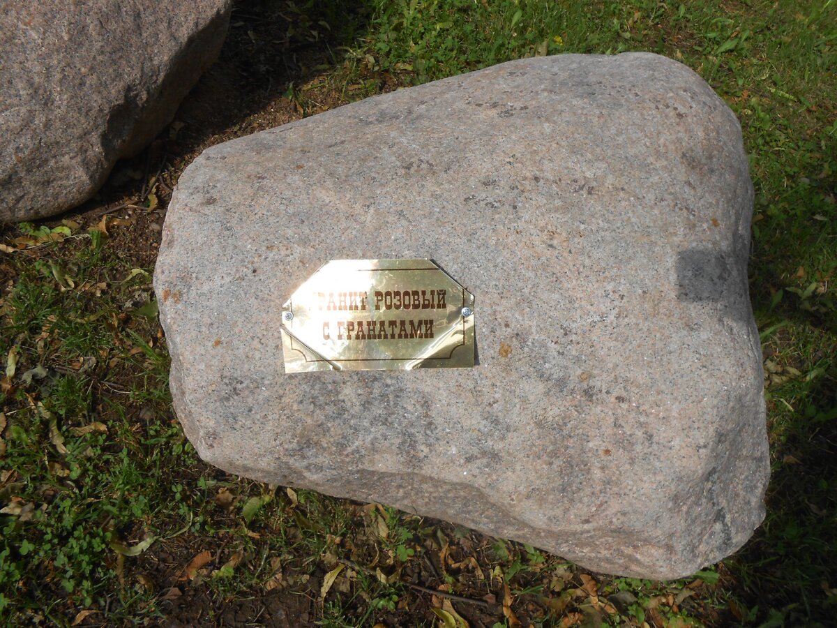 DSCN3147.JPG