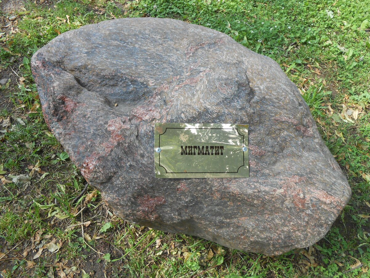 DSCN3148.JPG