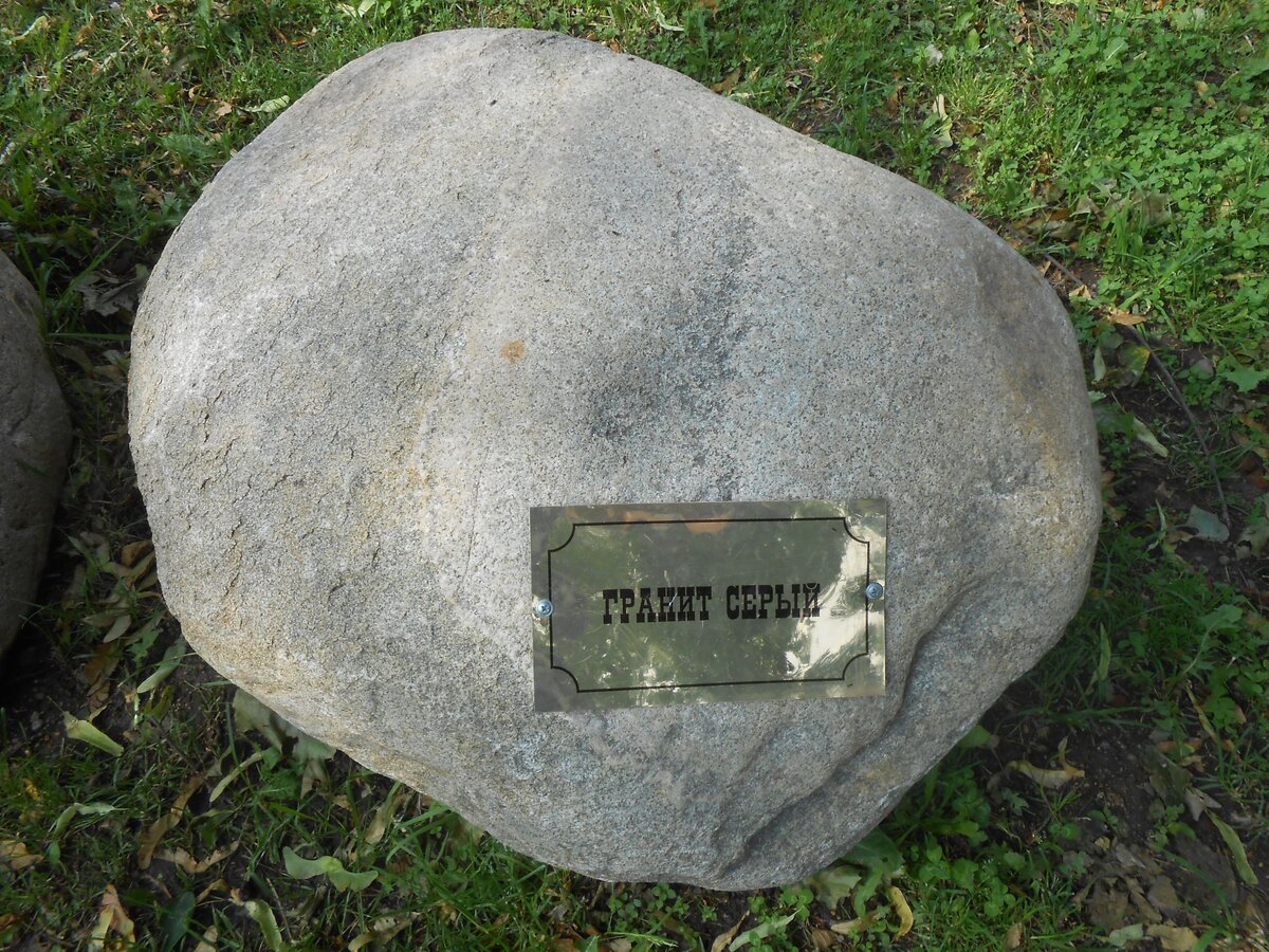 DSCN3149.JPG