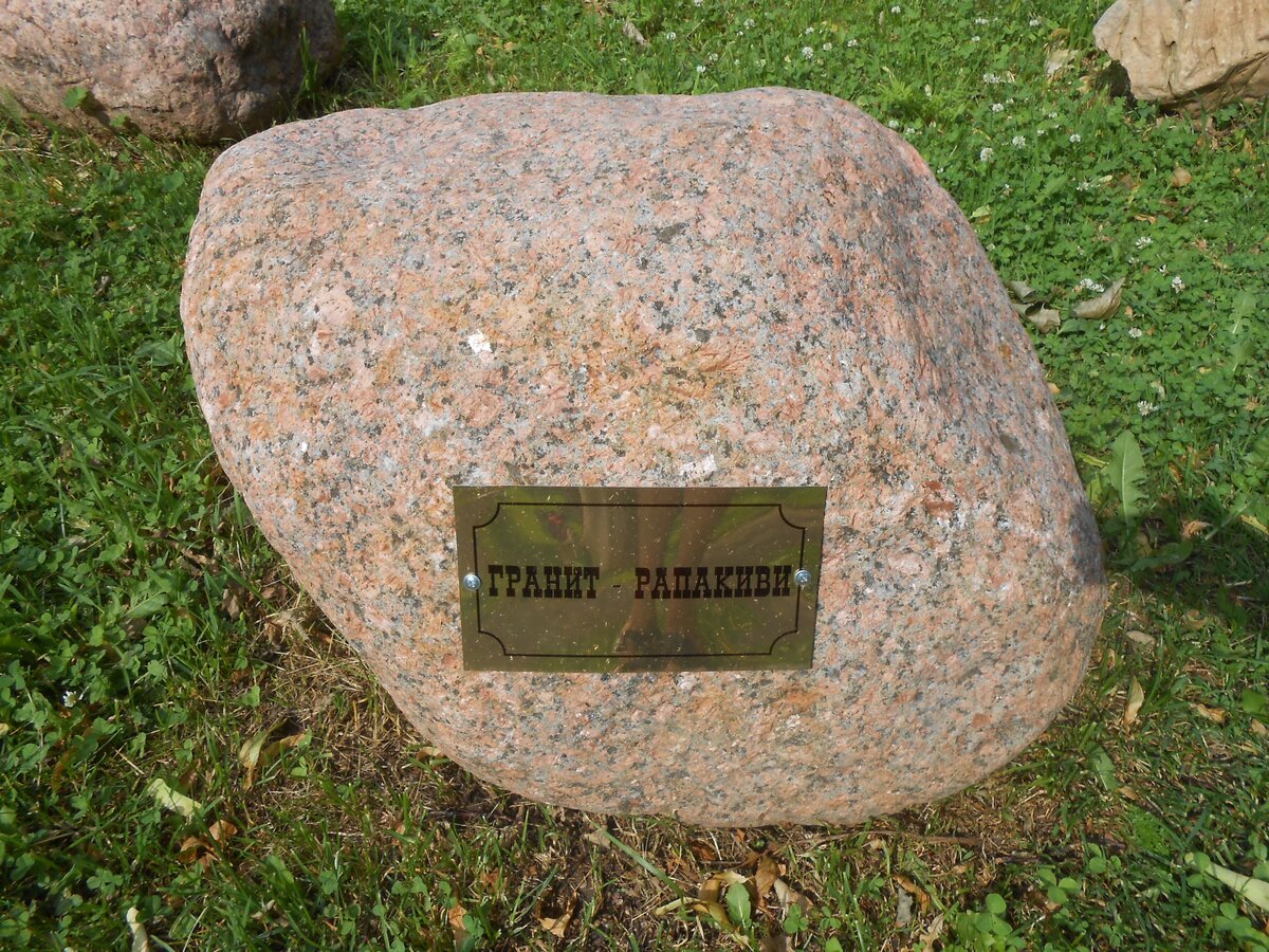 DSCN3152.JPG