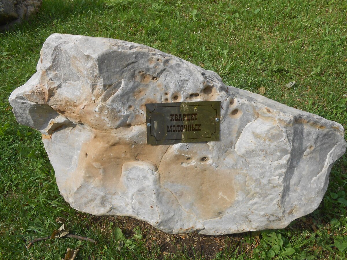 DSCN3154.JPG