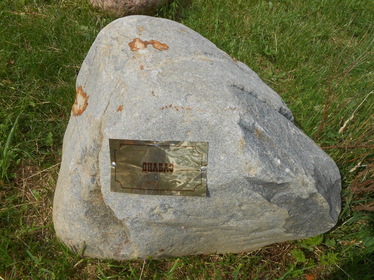 DSCN3155.JPG