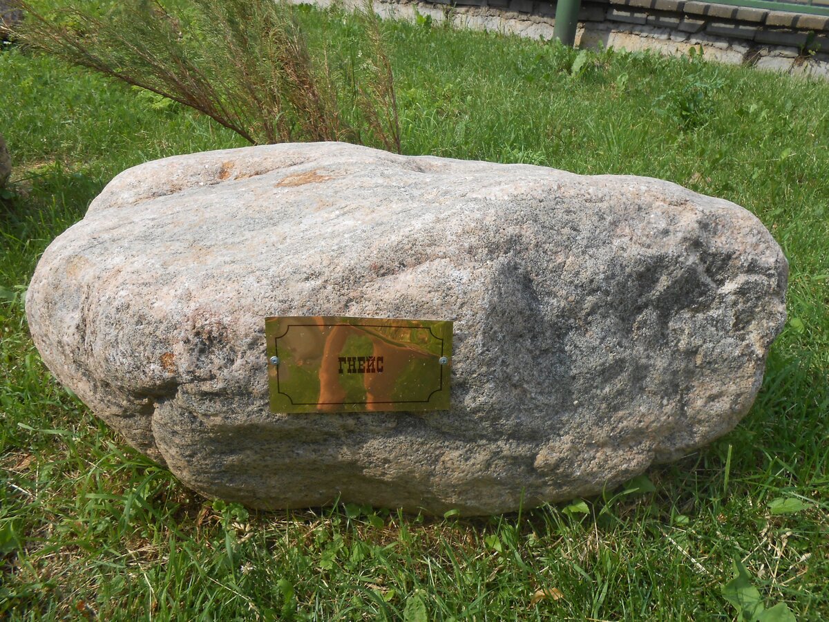 DSCN3156.JPG