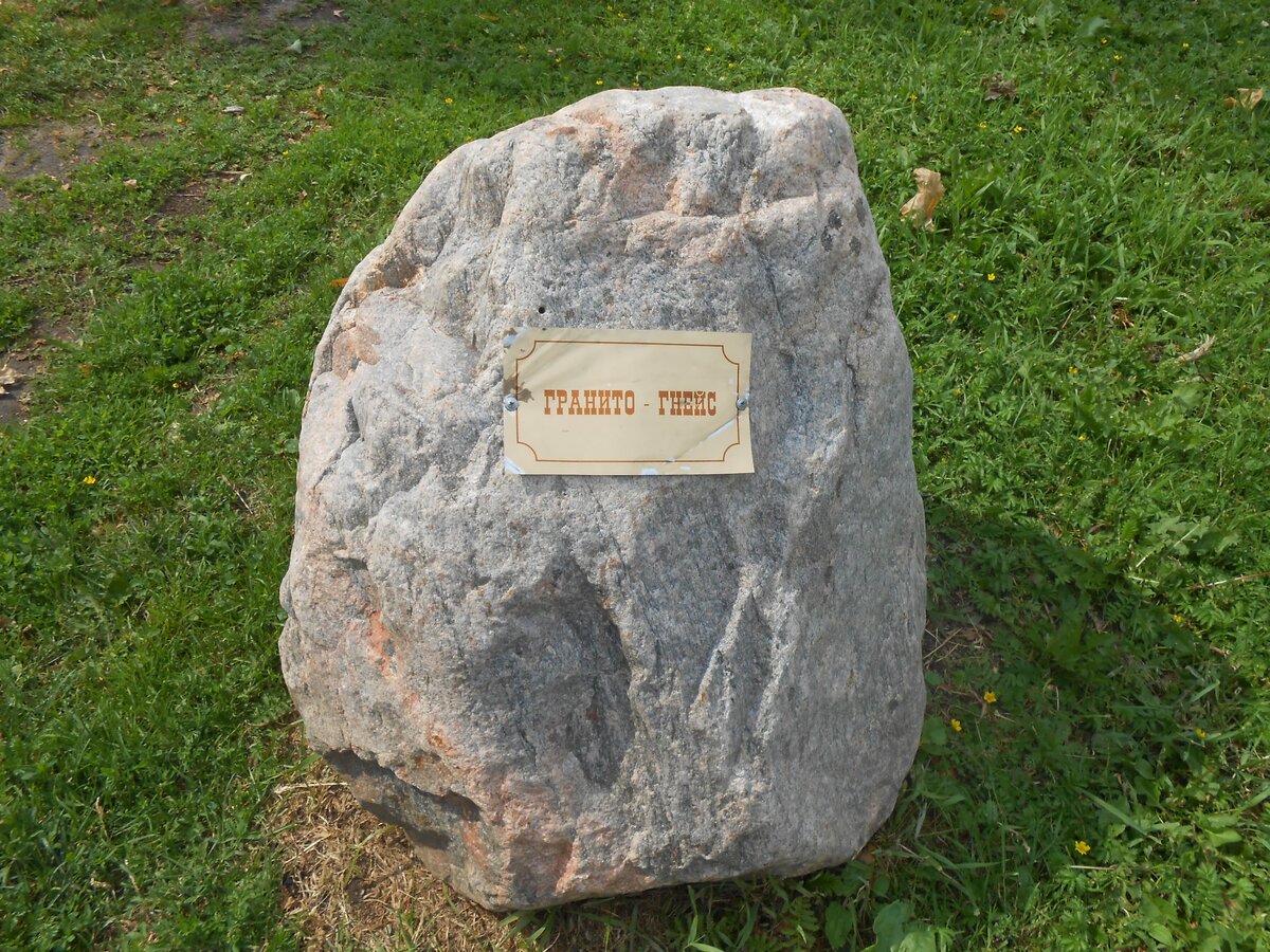 DSCN3157.JPG