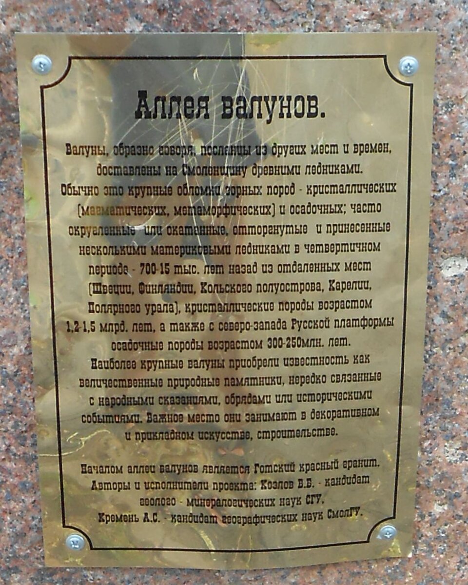 DSCN3141 (2).JPG