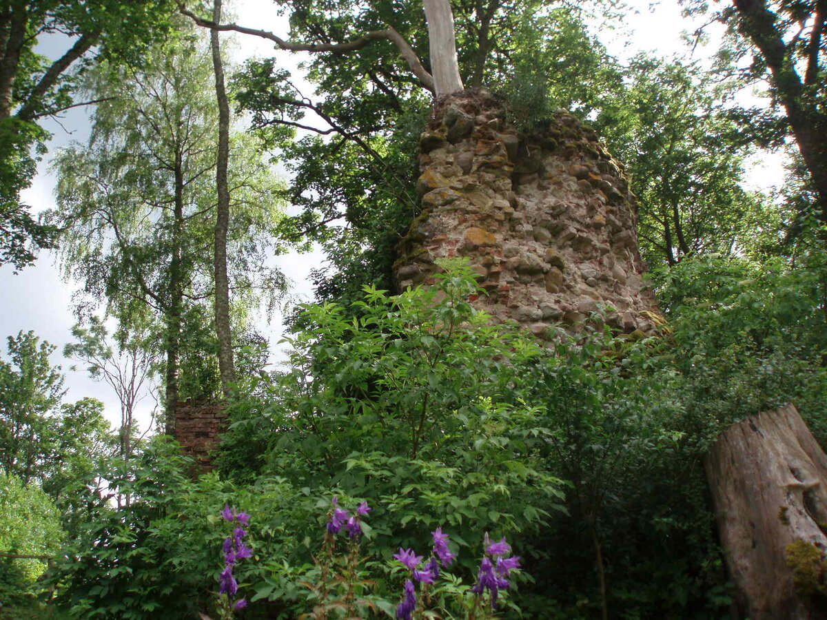 июль2014 035.jpg