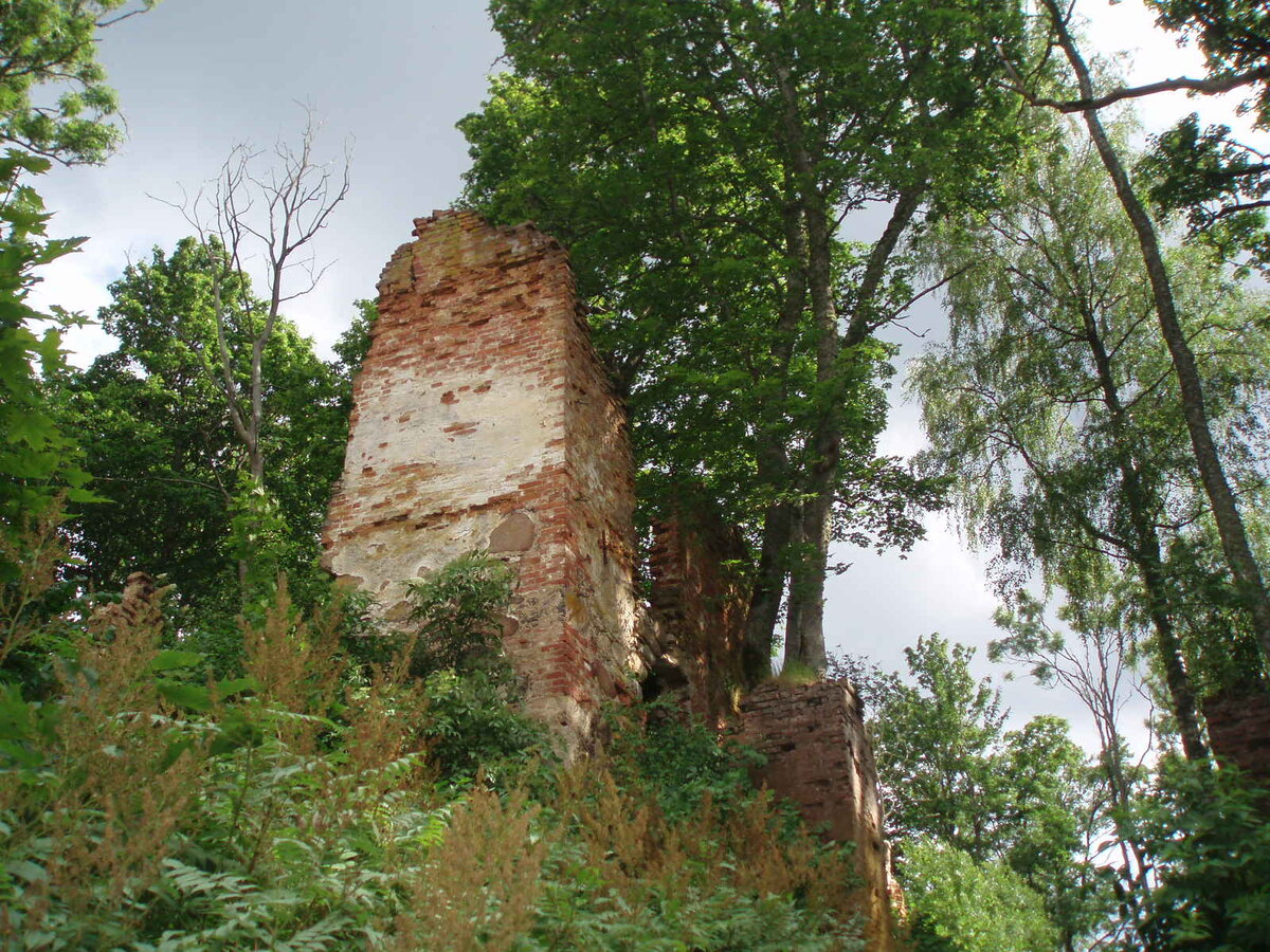 июль2014 036.jpg