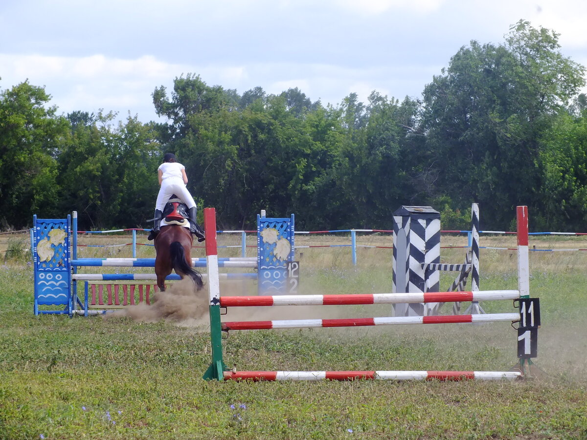DSCF7551.JPG