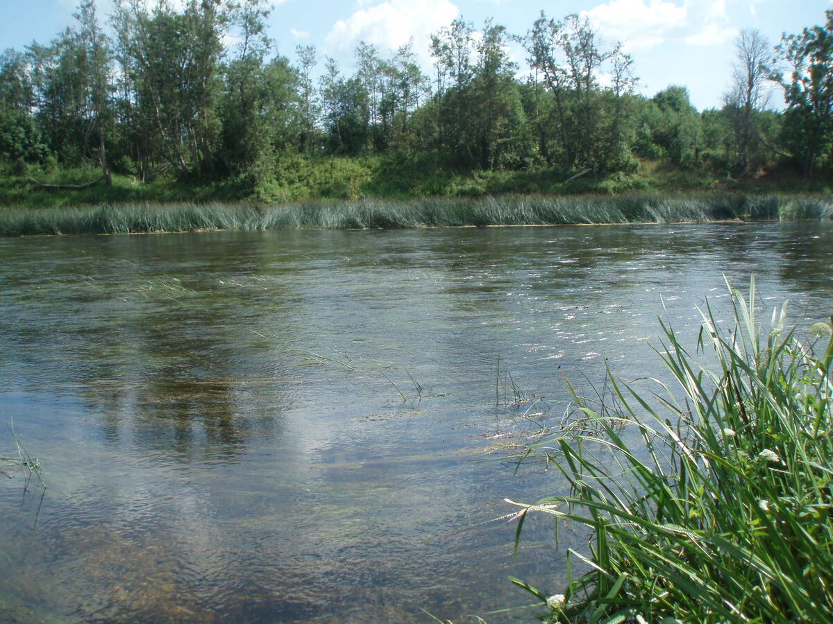 июль2014 029.jpg