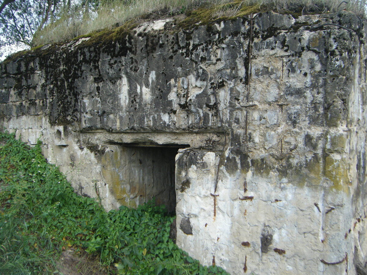 DSCF4113.JPG