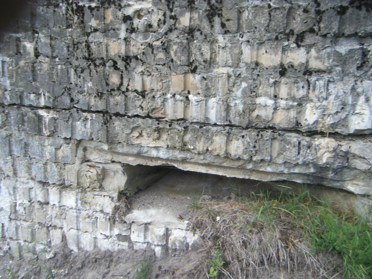 DSCF4127.JPG