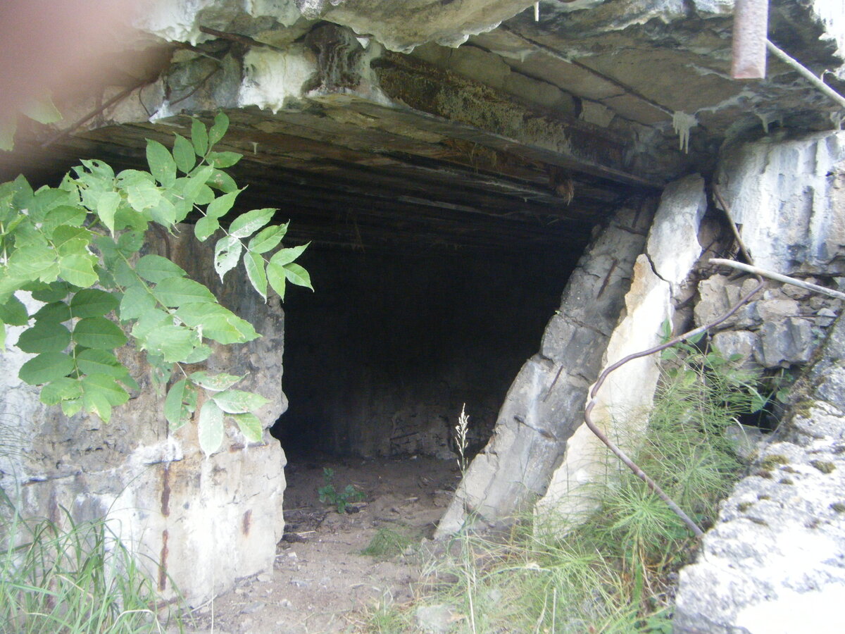 DSCF4130.JPG